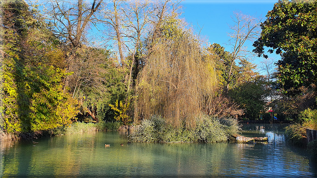 foto Parco Sebellin